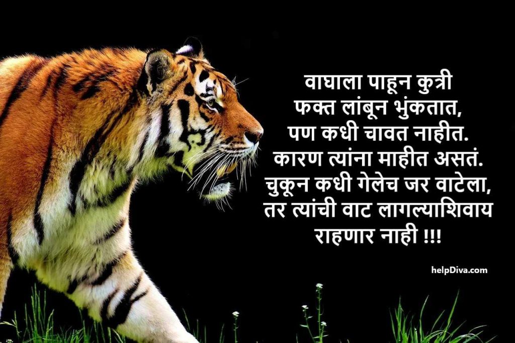 Marathi Attitude Status For Boys
